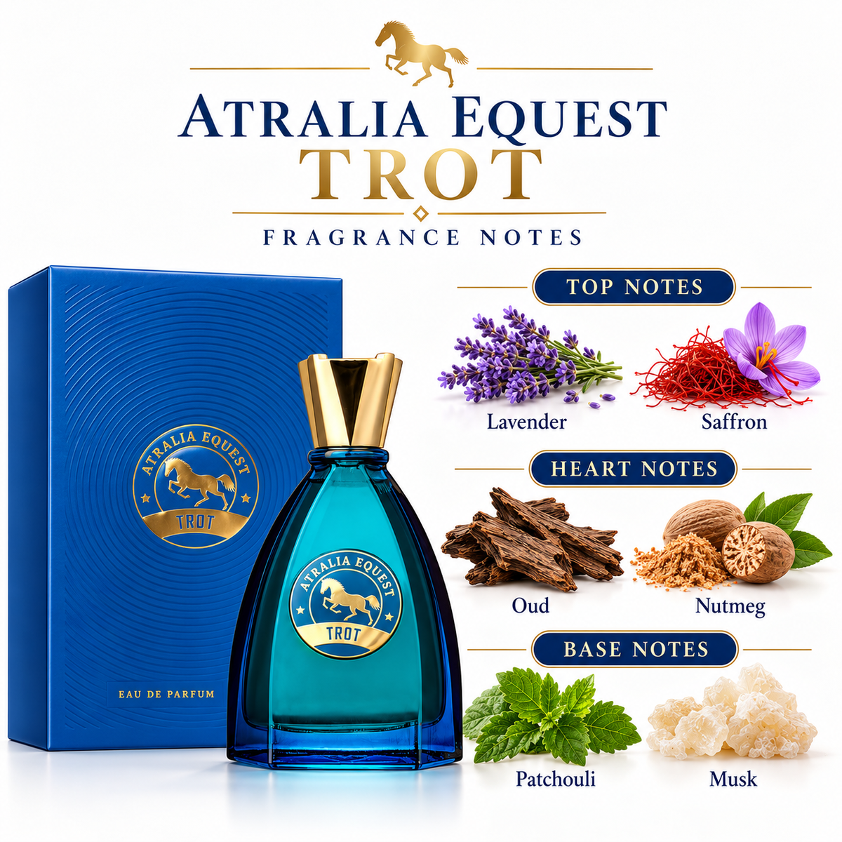 Atralia Equest Trot EDP