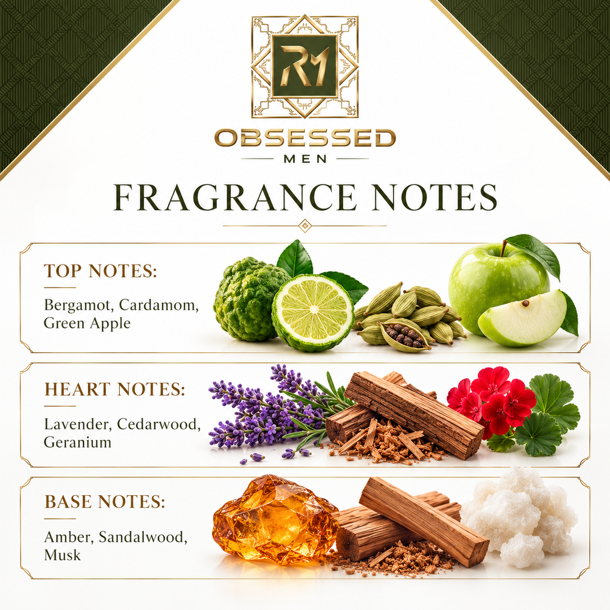 Ron Marone's Men's Obsessed Parfum 3.4 oz
